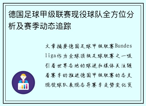 德国足球甲级联赛现役球队全方位分析及赛季动态追踪